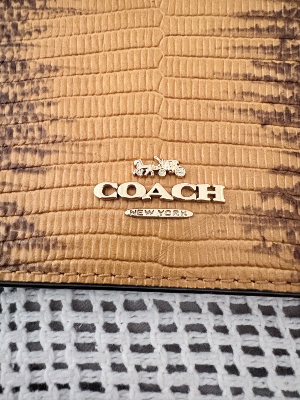Coach Hayden Foldover Lizard Embossed
Crossbody Clutch - Picture 2 of 16